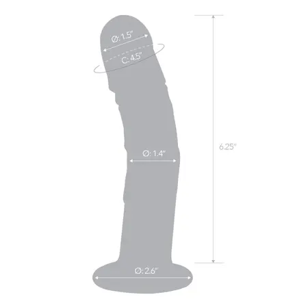 Glas Curved Glass Model with Vein Details 18cm - Transparent, Anatomical Shape