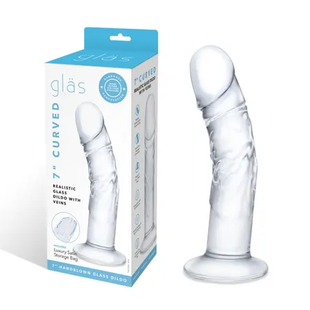 Glas Curved Glass Model with Vein Details 18cm - Transparent, Anatomical Shape