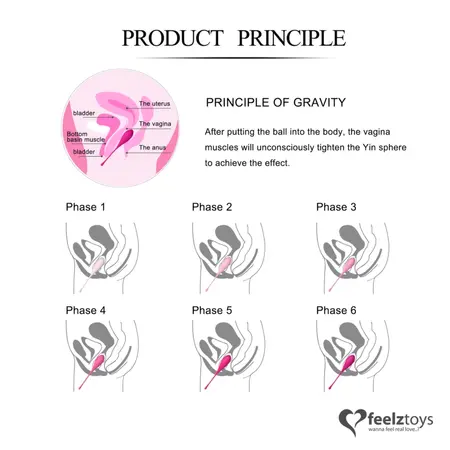FeelzToys FemmeFit Pelvic Floor Muscle Trainer Set 6 Weights Silicone