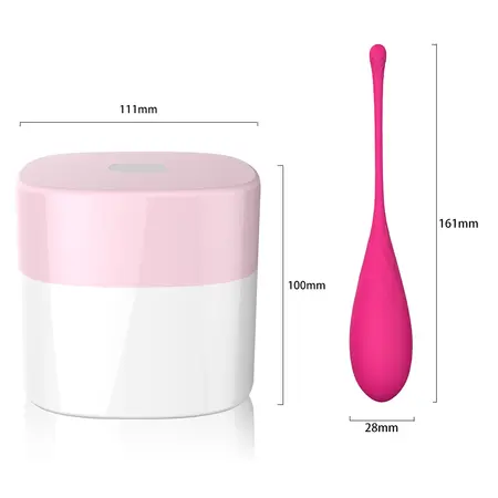 FeelzToys FemmeFit Pelvic Floor Muscle Trainer Set 6 Weights Silicone