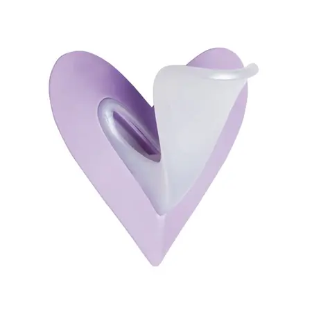 Ladyshape Heart Bikini Shaping Tool Set with Precision Razors