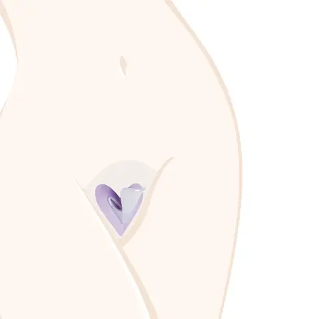 Ladyshape Heart Bikini Shaping Tool Set with Precision Razors