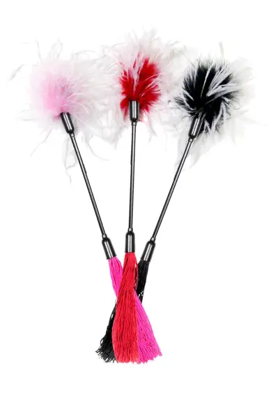 Sportsheets S&M Dual-Sided Latex Whip & Feather Tickler Red/White 40cm
