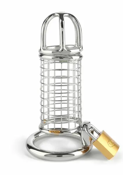 Mr. Steel Matrix Chastity Cage Stainless Steel Secure System
