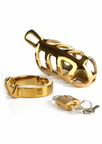 Mr. Steel Chastity Cage Gold - Secure Stainless Steel System, Adjustable