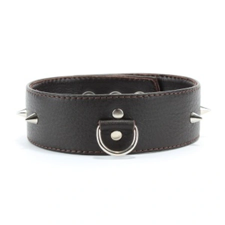 Ogrlica sa malim šiljcima je smeđa