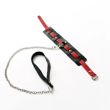 Ogrlica sa crvenim kaišem