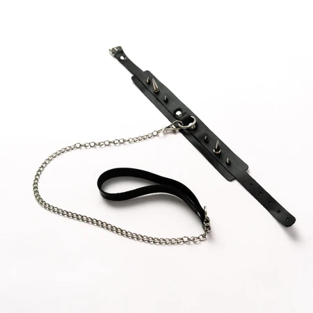 Ogrlica sa šiljastim povodcem