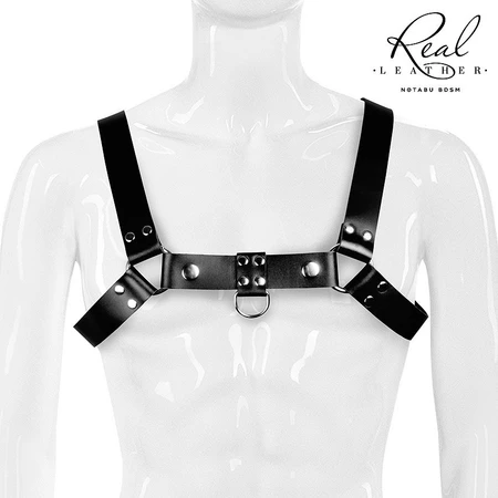 PORTUPEJA muška umetnost. NTB-80738