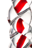 Nerealni Dildo Sekus Glass, staklo, prozirno, 18 cm (912079)
