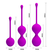 Komplet vaginalnih kuglica Pretti Love bi-014505