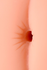 Tongggo 2 Hand Sleeve Series Artist Collection Series Masturbator-anus sa dvostrukim slojem