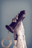 Strap-on-me Dildo Semi-Realistic dildo sa funkcijom ejakulacije, crni L, 18,2 cm