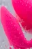 Vonderlove multifunkcionalni stimulans Pink
