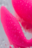 Vonderlove multifunkcionalni stimulans Pink