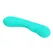 Pretti Love Teal Vibrator