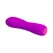 Mini Vibrator Pretti Love