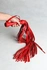 Pleteni flogger crveni 50 repova od 55cm