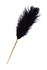 Flogger tickle Toifa Theatre, metal, zlato, 44 cm