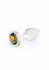 Crystal Desires Rainbow Gem Small Borosilicate Plug with Multicolor Jewel