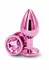 NS Novelties Rear Assets Medium Chrome-Plated Aluminum Plug