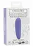 CalExotics Connect Panty Teaser intimni stimulator na upravljanje preko aplikacije crni