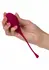 CalExotics Kegel set za trening od 5 delova progresivni sistem za jačanje karličnog dna