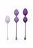CalExotics Kegel Training 3-Piece Set - Progressive Pelvic Floor System