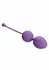 CalExotics Kegel Training 3-Piece Set - Progressive Pelvic Floor System