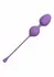 CalExotics Kegel Training 3-Piece Set - Progressive Pelvic Floor System
