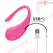 Intense Olivia Pink Wireless Vibrating Egg - Ergonomic Remote Control 20cm