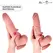 Dreamlove MR INTENSE Neeson anatomski silikonski model od 27cm sa vakuum postoljem