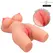 INTENSE Deep Touch Jesse Torso Dual Channel Anatomical Model TPE