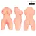 INTENSE Deep Touch Jesse Torso Dual Channel Anatomical Model TPE