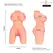 INTENSE Deep Touch Jesse Torso Dual Channel Anatomical Model TPE