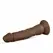 Real Fantasy James anatomski model od PVC materijala, 23 cm sa vakuum postoljem