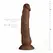 Real Fantasy James anatomski model od PVC materijala, 23 cm sa vakuum postoljem
