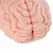 Seiraku Toys XTC Japan Brain Hacker DX intimni stimulator Peach, tekstura sa 7 zona, vrhunski kvalitet