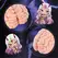 Seiraku Toys XTC Japan Brain Hacker DX intimni stimulator Peach, tekstura sa 7 zona, vrhunski kvalitet