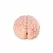 Seiraku Toys XTC Japan Brain Hacker DX intimni stimulator Peach, tekstura sa 7 zona, vrhunski kvalitet