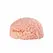 Seiraku Toys XTC Japan Brain Hacker DX intimni stimulator Peach, tekstura sa 7 zona, vrhunski kvalitet