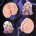Seiraku Toys XTC Japan Brain Hacker DX intimni stimulator Peach, tekstura sa 7 zona, vrhunski kvalitet