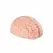 Seiraku Toys XTC Japan Brain Hacker DX intimni stimulator Peach, tekstura sa 7 zona, vrhunski kvalitet