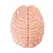 Seiraku Toys XTC Japan Brain Hacker DX intimni stimulator Peach, tekstura sa 7 zona, vrhunski kvalitet