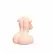 Seiraku Toys Ultimate Aska Mai Torso Peach - Dvokanalni Anatomski Model 12kg