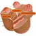 CRAZY BULL Wendy Anatomical Female Pelvis with Vibration & Suction, 11kg