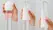 Tenga Egg Variety Pack Standard, komplet od 6 teksturisanih intimnih jaja za masturbaciju