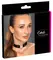 Cottelli ACCESSOIRES Crna Srce Podesiva Ogrica 31-42 cm