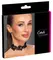 Cottelli ACCESSOIRES elegantni crni čipkani čoker sa biserima, podesiva veličina S do L