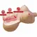CRAZY BULL Diana anatomski intimni torzo sa dva ulaza 5 kg TPR